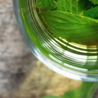 Phyto-Force Herbal Teas