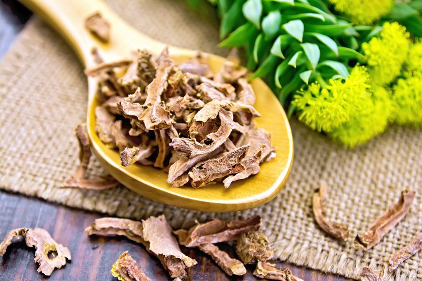 Why Rhodiola Rosea and Other Adaptogens Are Good For Us